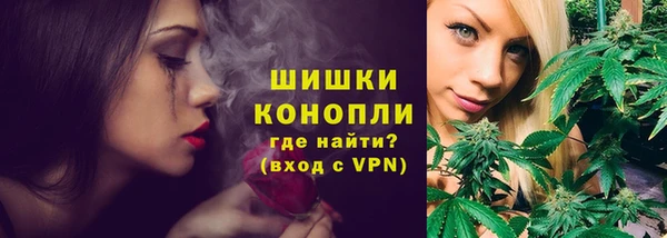сатива Абинск