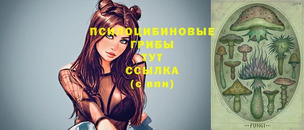 spice Алзамай